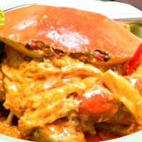 マンゴーツリー3