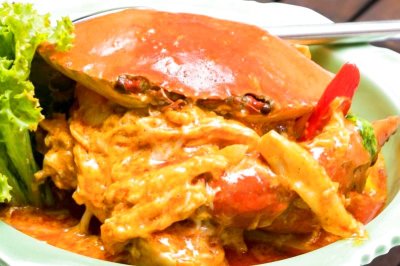 画像1: マンゴーツリー3